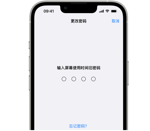 莘县iPhone屏幕维修分享iPhone屏幕使用时间密码忘记了怎么办 