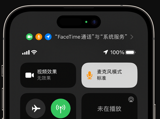 莘县苹果授权维修网点分享iPhone在通话时让你的声音更清晰 