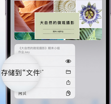 莘县apple维修中心分享iPhone文件应用中存储和找到下载文件