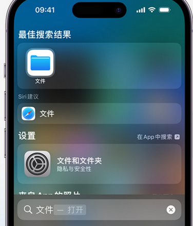 莘县apple维修中心分享iPhone文件应用中存储和找到下载文件 