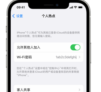 莘县apple服务站点分享iPhone上个人热点丢失了怎么办