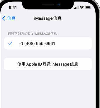 莘县apple维修iPhone上无法正常发送iMessage信息 