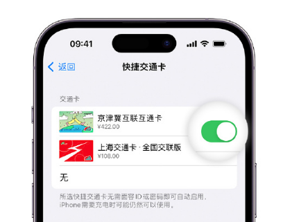 莘县apple维修点分享iPhone上更换Apple Pay快捷交通卡手绘卡面 