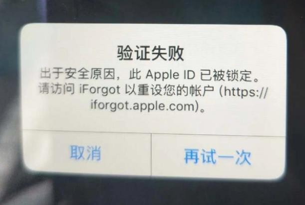 莘县iPhone维修分享iPhone上正常登录或使用AppleID怎么办 