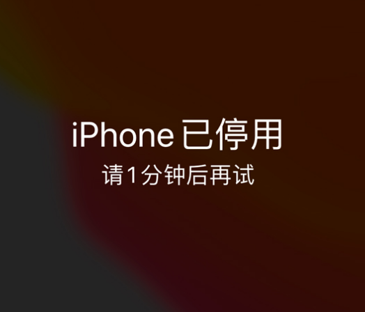 莘县苹果手机维修分享:iPhone 显示“不可用”或“已停用”怎么办？还能保留数据吗？ 