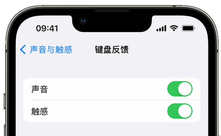 莘县苹果手机维修分享iPhone 14触感键盘使用方法 