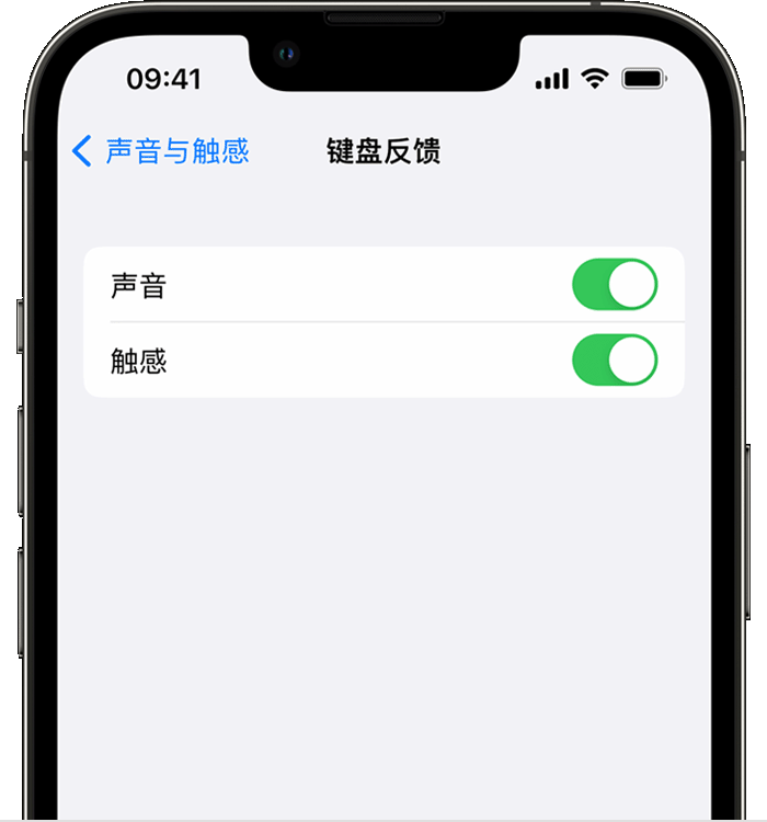 莘县苹果14维修店分享如何在 iPhone 14 机型中使用触感键盘 