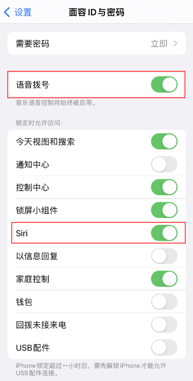 莘县苹果维修网点分享不解锁 iPhone 的情况下通过 Siri 拨打电话的方法 