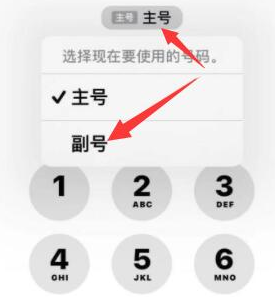 莘县苹果14维修店分享iPhone 14 Pro Max使用副卡打电话的方法 