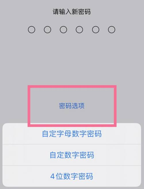 莘县苹果14维修分享iPhone 14plus设置密码的方法 