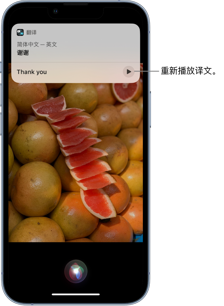 莘县苹果14维修分享 iPhone 14 机型中使用 Siri：了解 Siri 能帮你做什么 