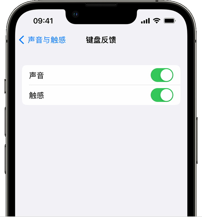 莘县苹果14维修分享iPhone 14 系列机型如何开启键盘声音或触感反馈 