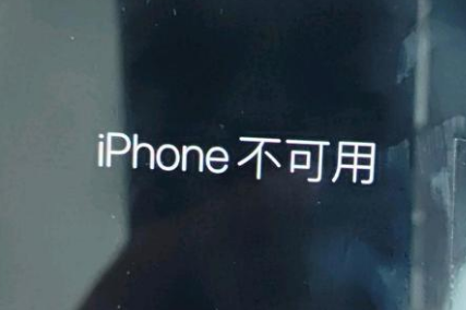 莘县苹果服务网点分享锁屏界面显示“iPhone 不可用”如何解决 