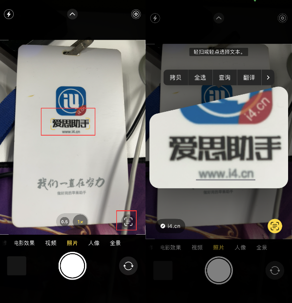 莘县苹果手机维修分享升级iOS 16后如何通过相机翻译文本 