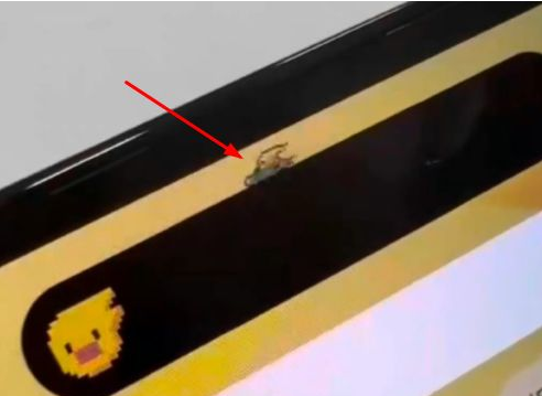莘县苹果14维修分享iPhone 14 Pro Max灵动岛怎么养宠物 