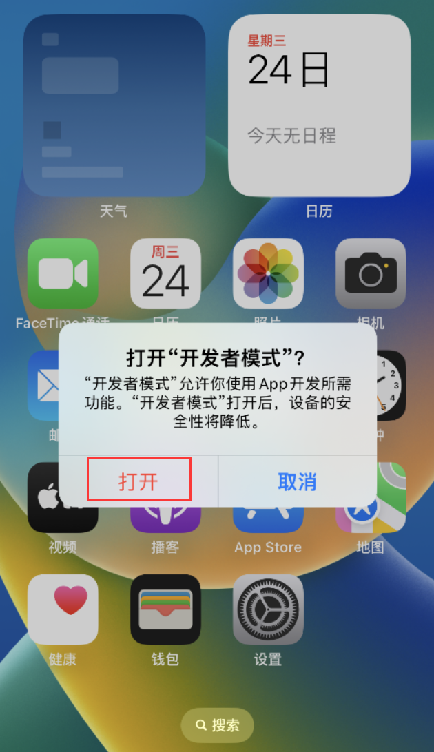 莘县苹果手机维修分享如何打开开发者模式 