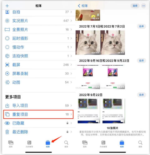 莘县苹果手机维修分享iOS 16 中相册重复项目功能使用方法 