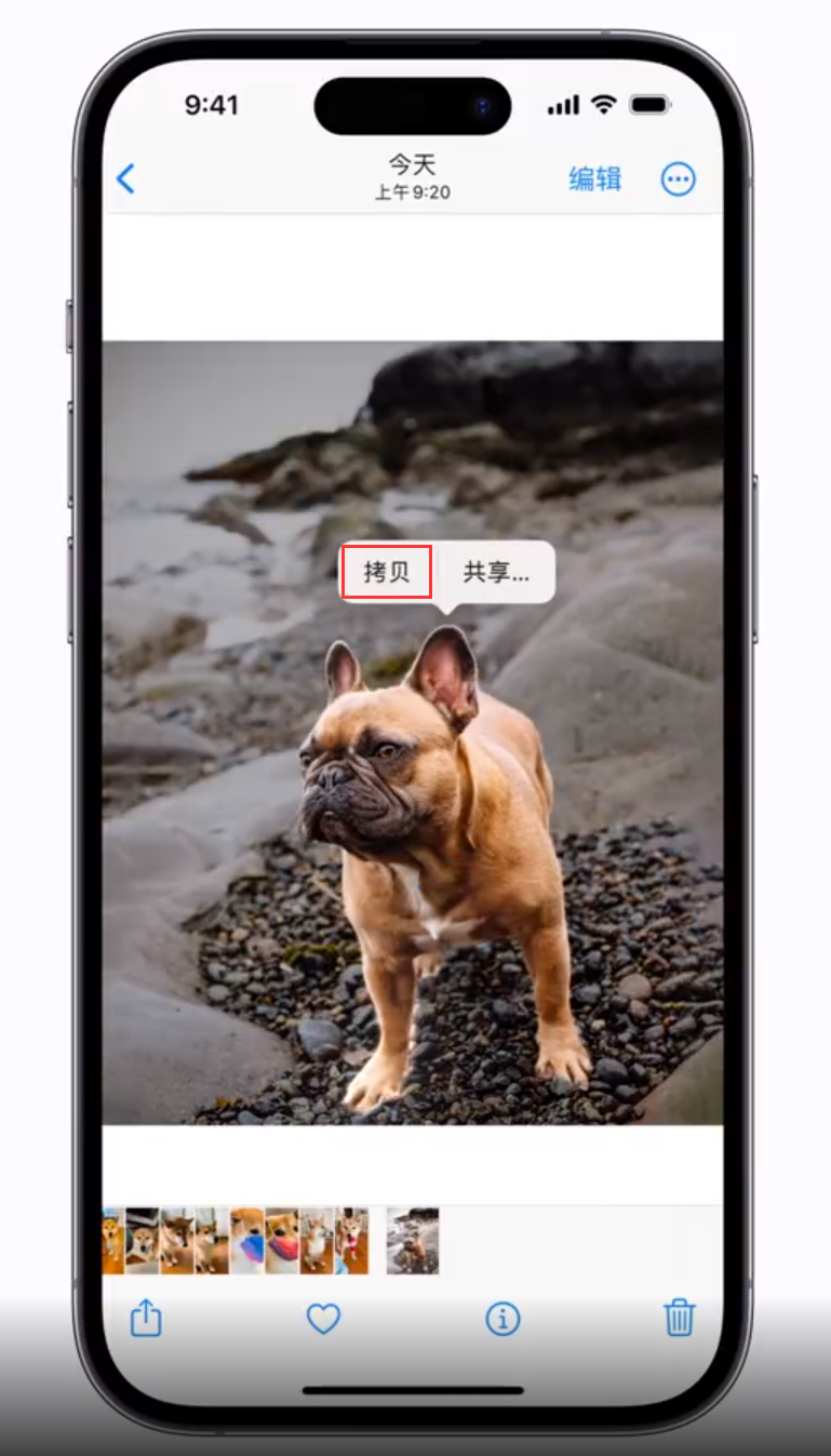 莘县苹果手机维修分享 iOS 16 自带一键抠图功能 