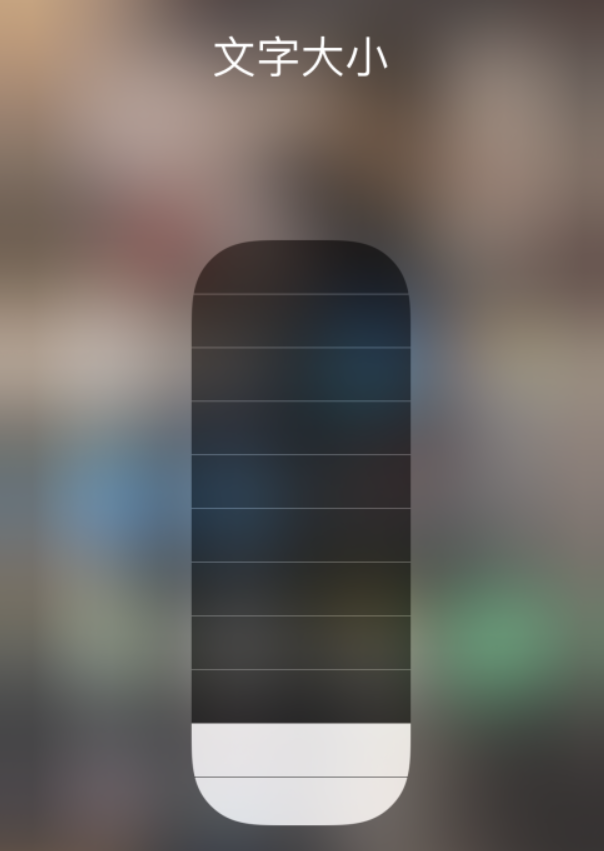 莘县苹果手机维修分享小技巧：在 iPhone 控制中心快速调节字体大小 