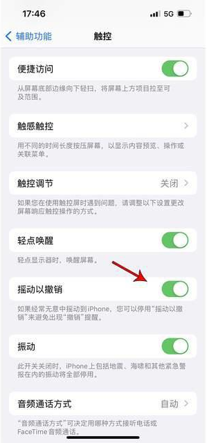 莘县苹果手机维修分享iPhone手机如何设置摇一摇删除文字 