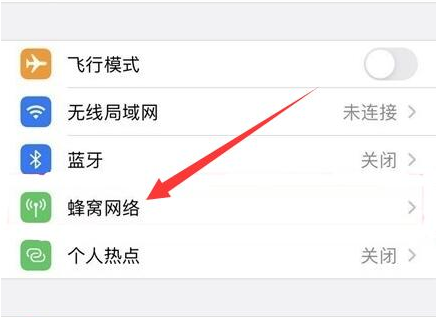 莘县苹果手机维修分享iPhone手机4G网络怎么设置成5G网络 