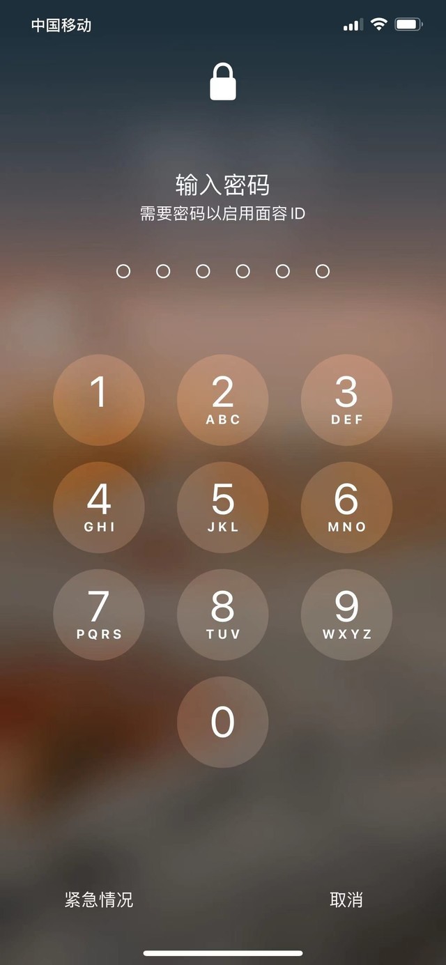 莘县苹果13维修分享iPhone 13加强锁屏功能有什么用 