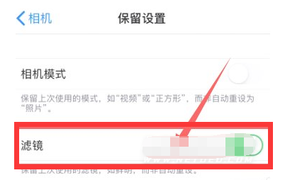莘县苹果13维修分享iPhone13拍照有绿点是怎么回事 