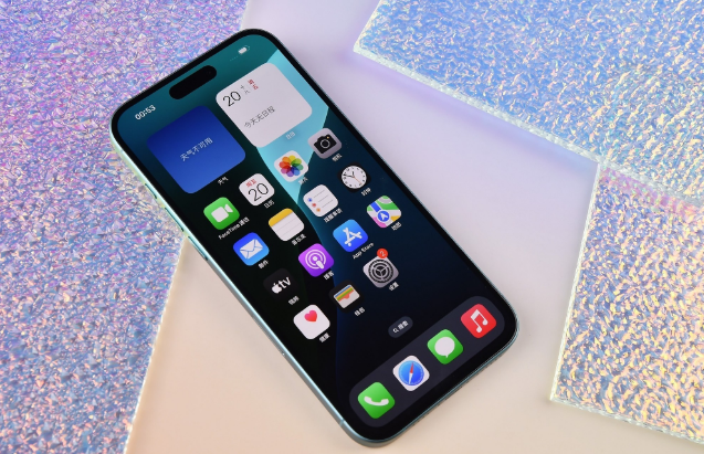莘县苹果手机维修分享为什么大家不喜欢苹果iPhone 16 Plus 