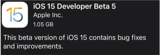 莘县苹果手机维修分享如何升级到iOS15.0 beta5 