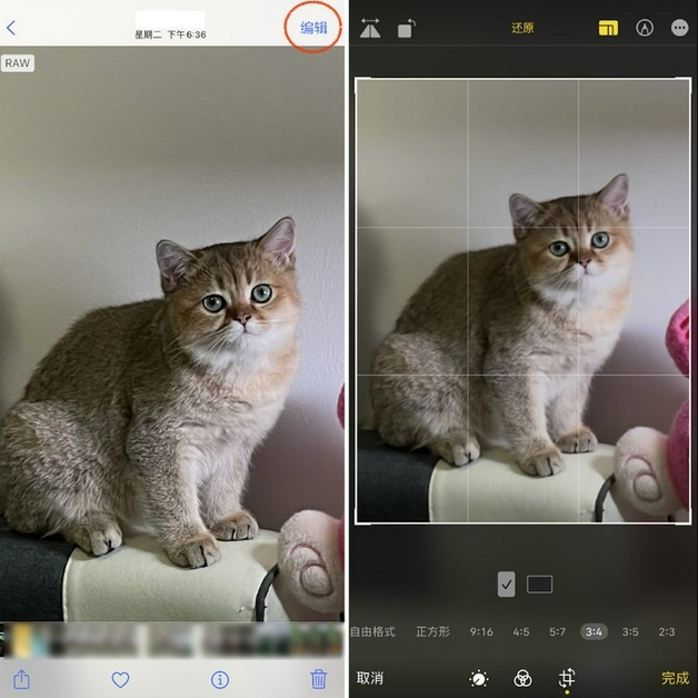 莘县苹果手机维修分享苹果 iPhone 12 Pro 拍照会过度锐化 