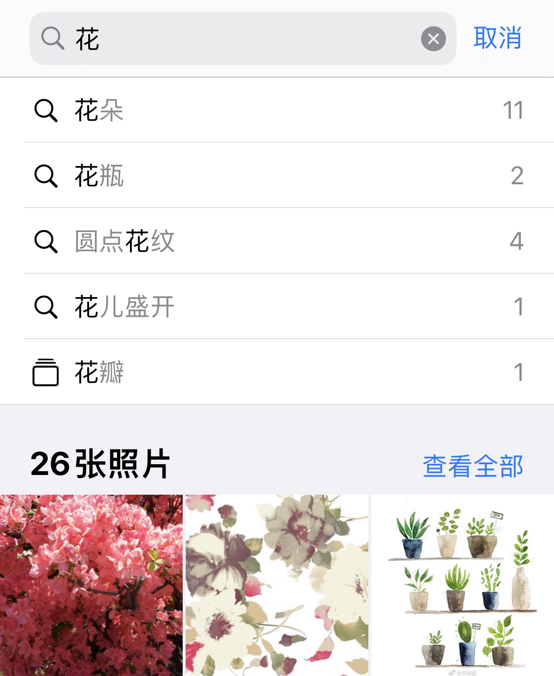 莘县苹果手机维修分享iPhone 小技巧 