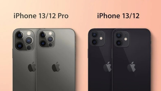 莘县苹果手机维修分享iPhone 13 摄像头长什么样 