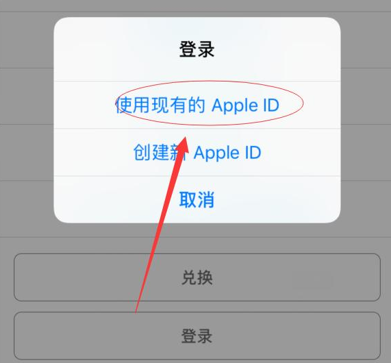 莘县苹果手机维修分享两台iPhone设备可以同时登录一个Apple ID吗 