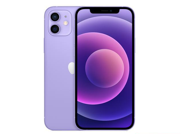 莘县苹果手机维修分享现阶段要不要入手紫色版iPhone12 