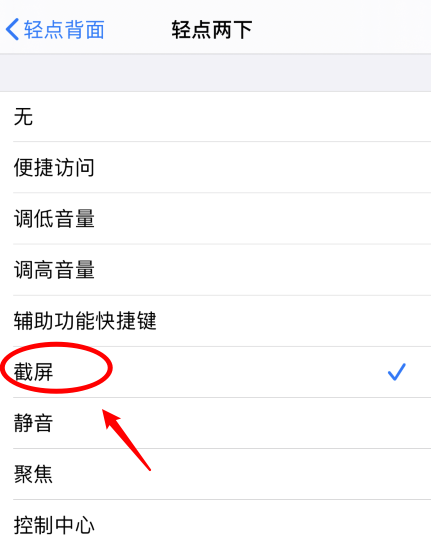 莘县苹果手机维修分享iPhone12如何启用双击截屏 