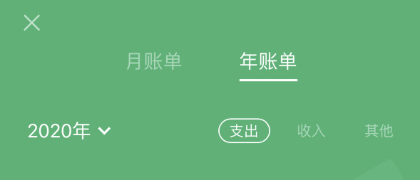 莘县苹果手机维修分享如何在 iPhone 上查看支付宝和微信年支出账单 