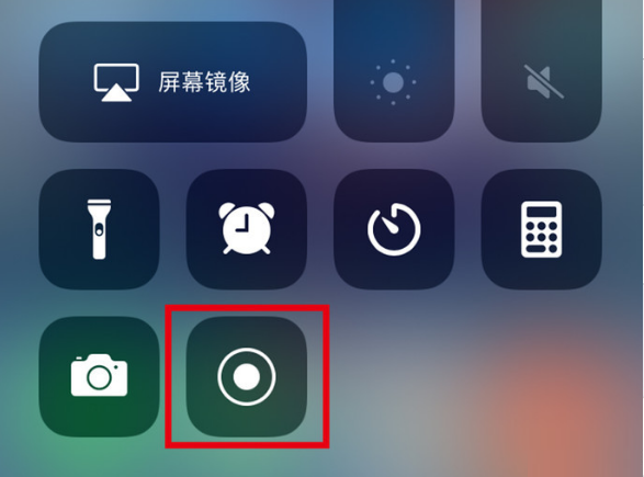 莘县苹果手机维修分享iPhone12录屏方法教程 