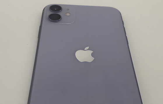 莘县苹果11系统维修分享iPhone11手机系统崩溃无法开机如何解决 